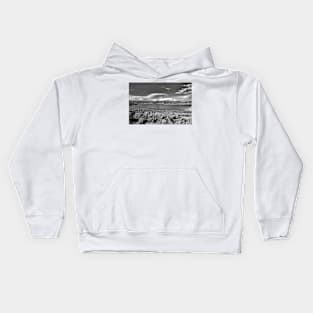 Blue Mesa Reservoir West End 1 BW Kids Hoodie